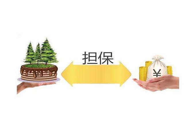 反担保是什么意思？