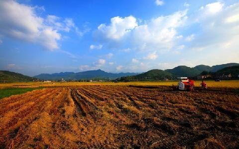 集体土地建厂房违法吗