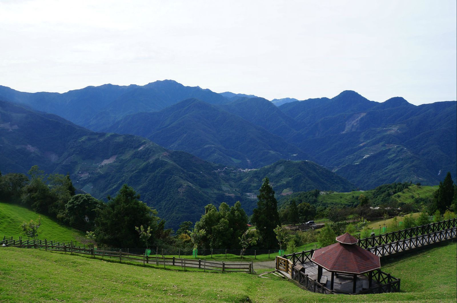 农村土地征收的补偿标准，农村拆迁林地怎么补偿