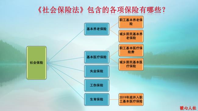 五险都包括什么（个人社保五险查询流程）