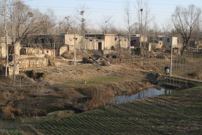 宅基地转让合法吗（农村宅基地转让政策）