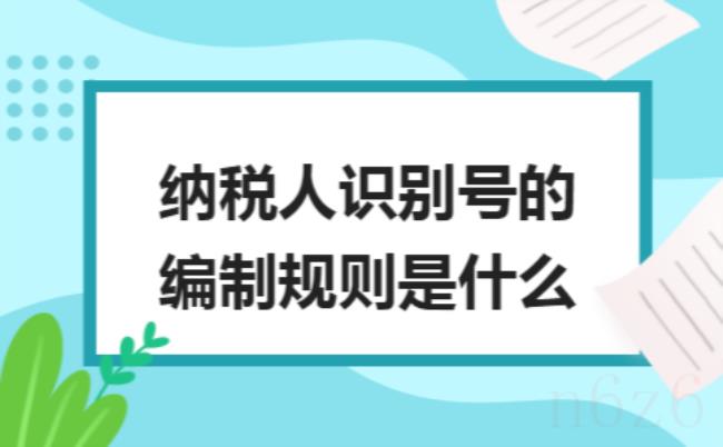 公司税号格式（正确格式的企业税号）