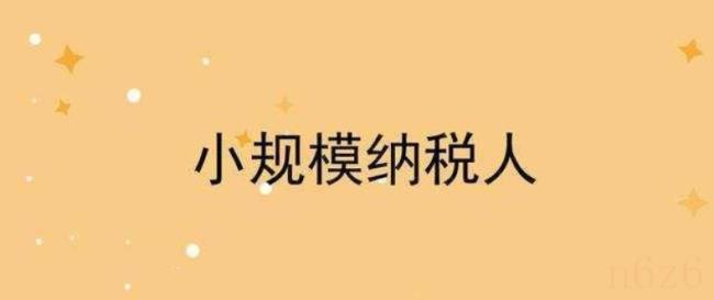 小规模所得税核定征收（小规模纳税人申报流程）