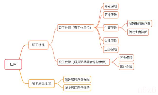 2022年生育险政策是什么（2022年最新计划生育政策）