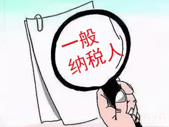 一般纳税人是什么企业（纳税人最新认定标准）