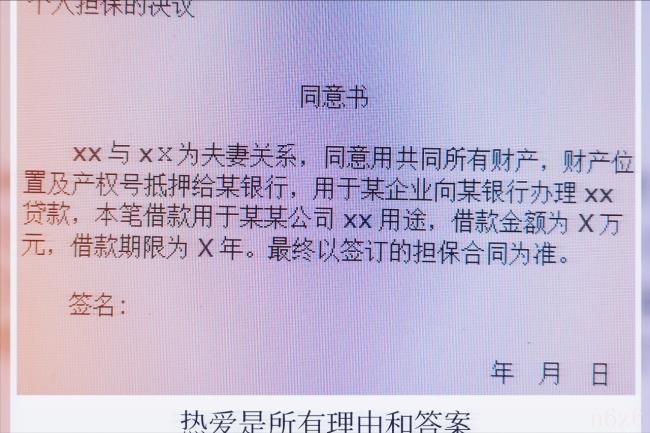 担保书怎么写（个人借款担保协议书简单范本）