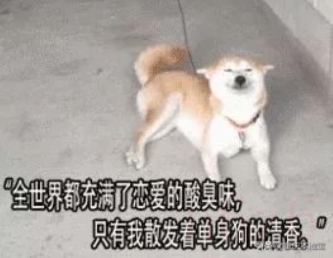 劳动法对年假的规定是什么（劳动法关于员工休假的规定）