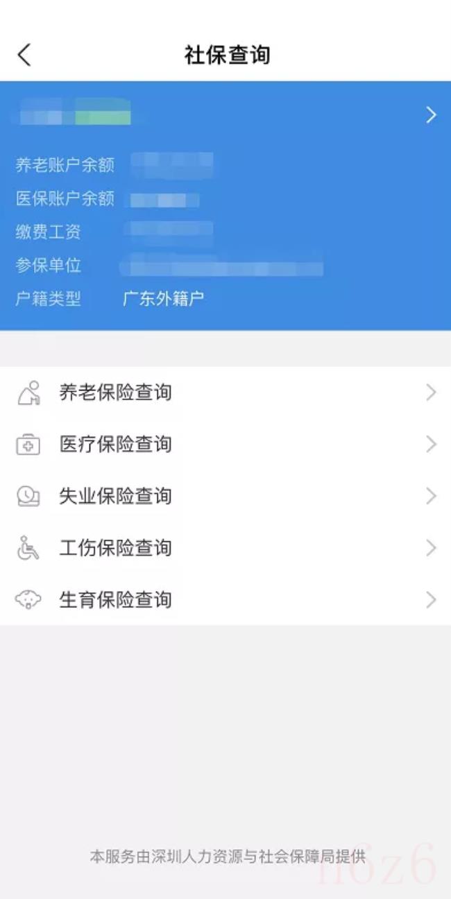 怎样查询医保卡余额（医保卡查询个人账户明细）