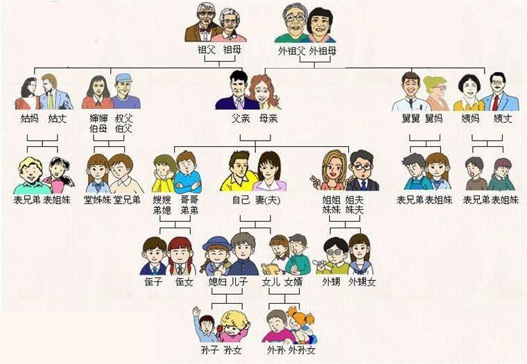 直系亲属的范围包括哪些（法律上直系亲属关系的界定）