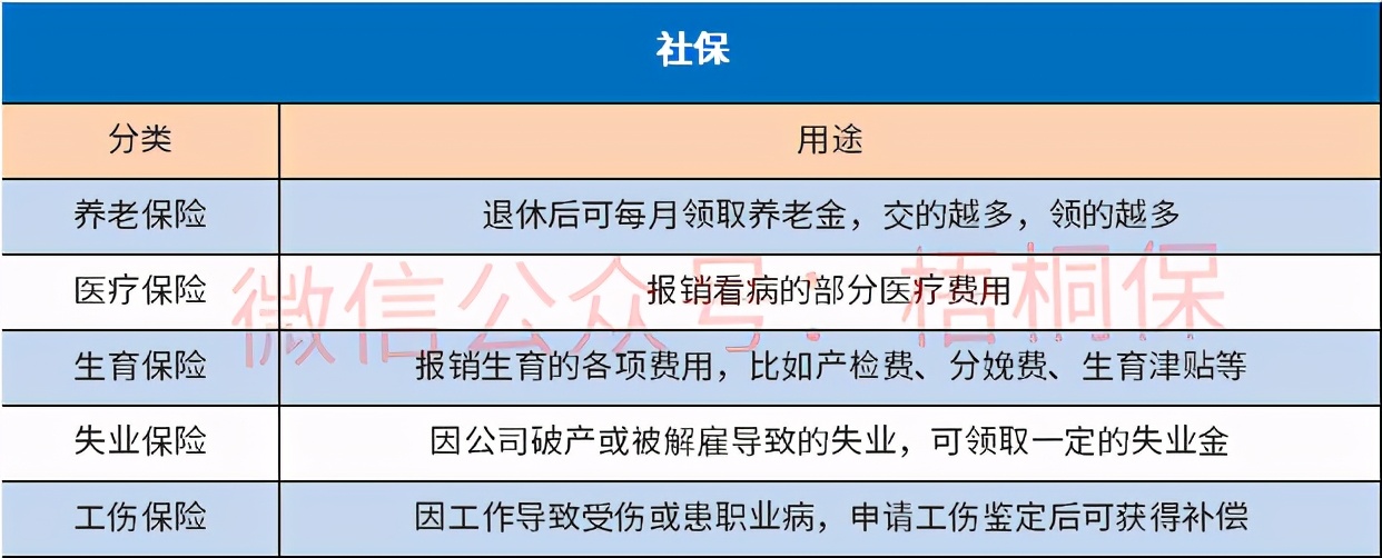 社保断了几个月怎么办（社保个人缴纳和企业缴纳的区别）