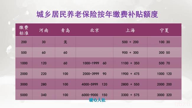 农村社会养老保险有几个档次（农村社保档位级别明细）