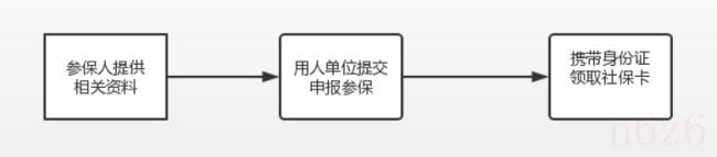 社保怎么交（社保的收费标准）