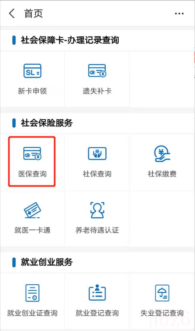 医保卡怎么查询（医保卡查询个人账户明细）