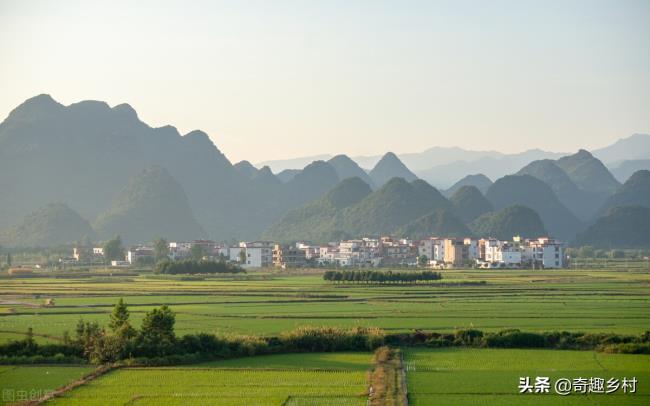 林地补偿标准是多少（农村山林征收补偿标准）