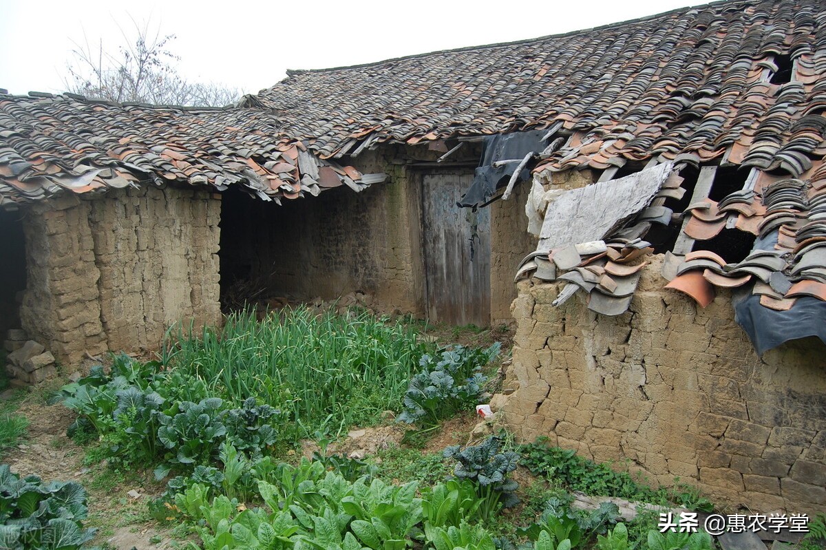 农村宅基地赔偿多少钱（宅基地赔偿和房屋赔偿标准）