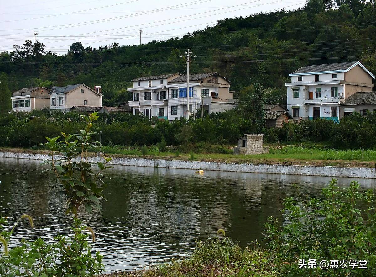 农村一户两宅基地怎么确权（农村宅基地新政策）