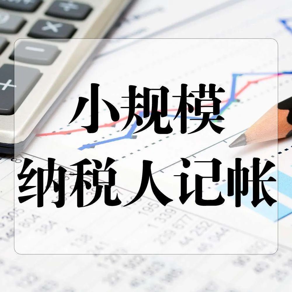 小规模纳税人如何报税（2022年小规模纳税人申报流程）