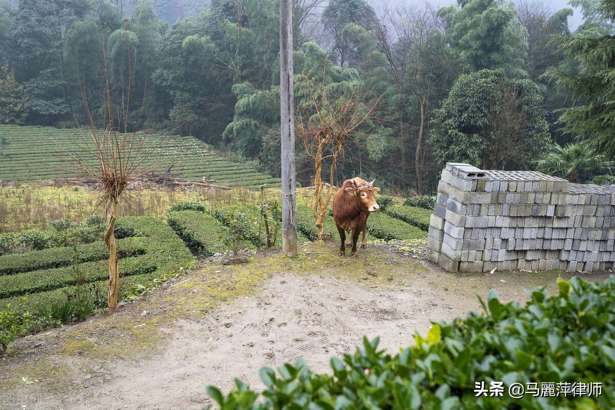 国家土地租赁最长多少年合法（农村个人土地租赁合同范本）