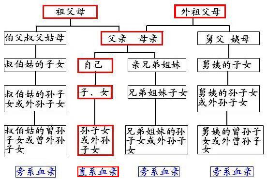 三代以内直系亲属包括哪些（三代以内直系亲属图）