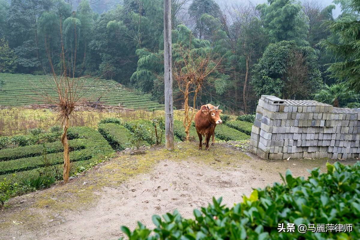 土地租赁期限最长多少年（国有土地租赁的法律规定）