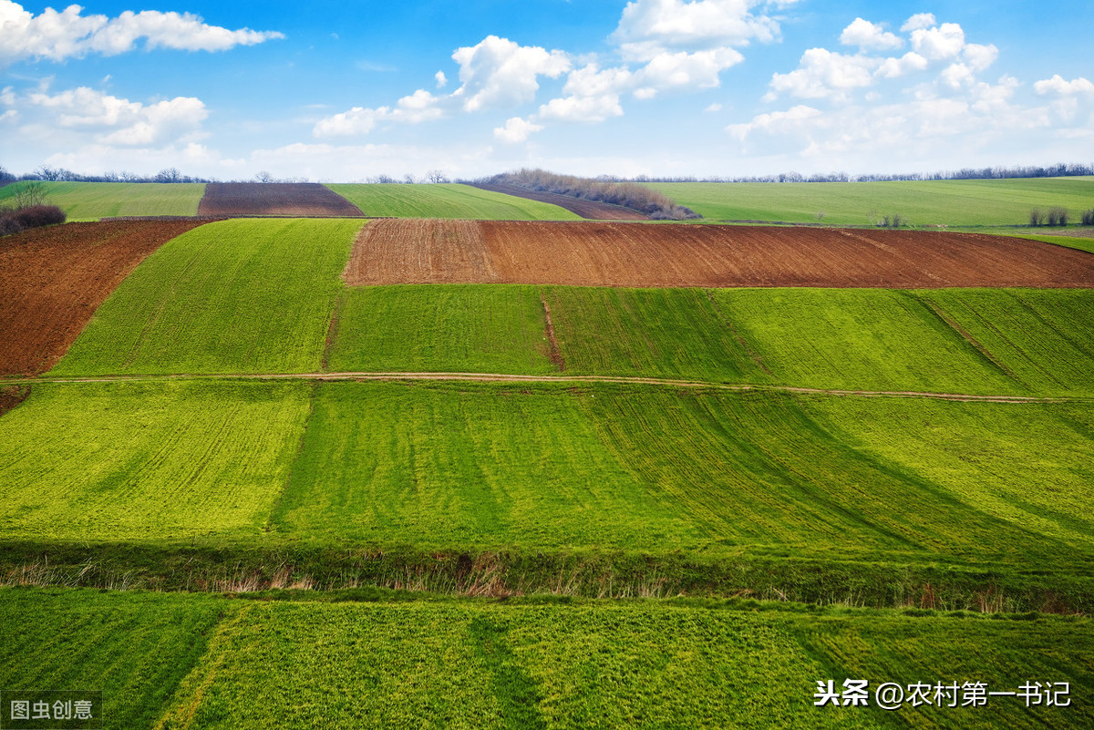 土地承包合同范本（正规土地承包合同范本）