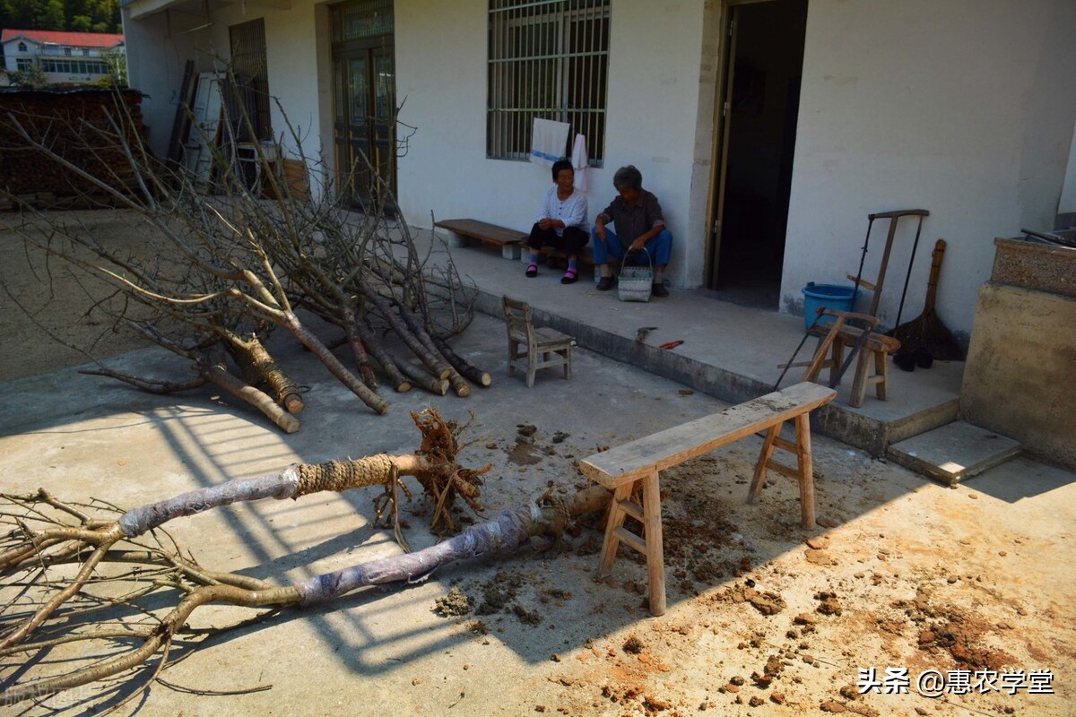 农村宅基地赔偿多少钱（宅基地赔偿和房屋赔偿标准）