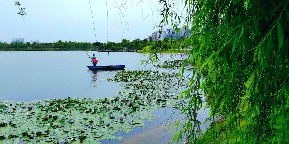 过错责任原则包含哪些要件（民法典过错责任原则情形）