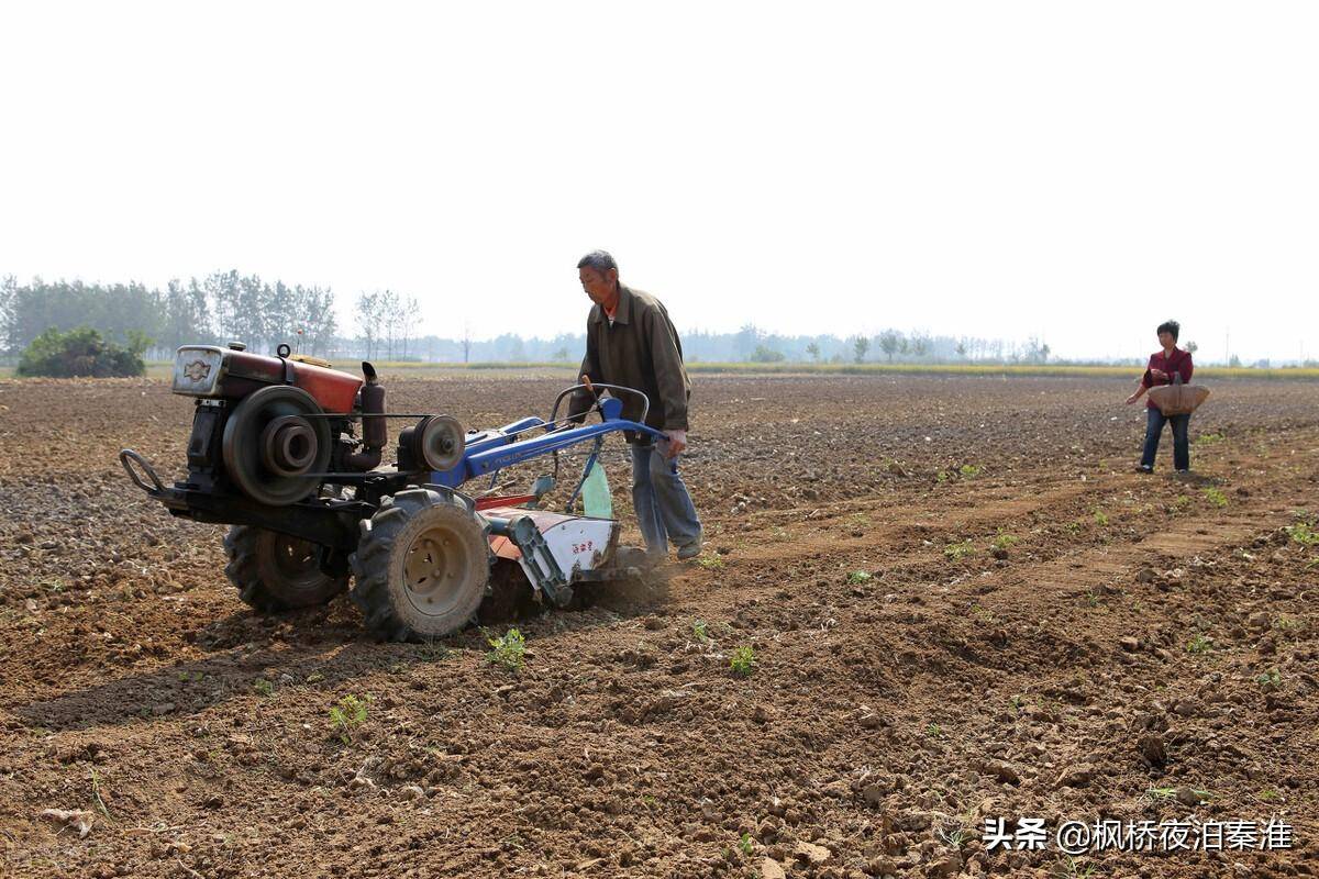 农田承包合同应该怎样写才有效（田亩承包协议书样本）