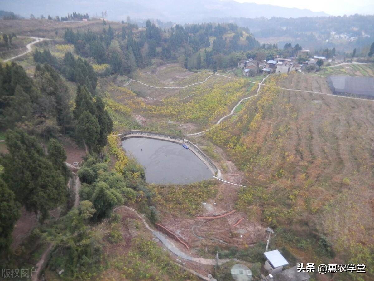 农村土地流转新政策解读（土地流转补贴标准）