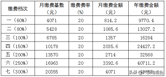 2022年职工养老保险多少钱（关于职工养老保险档次）