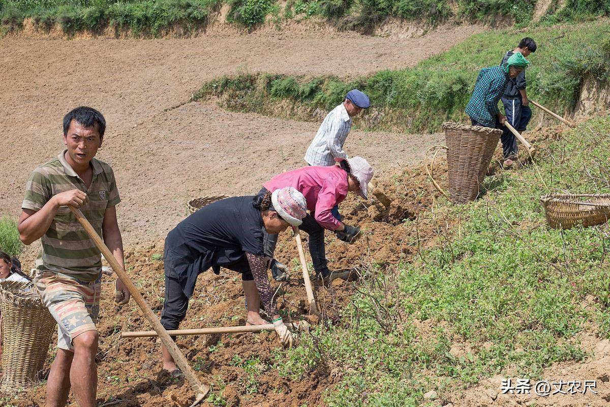 国家农村土地使用政策是什么（2022年土地管理法新规定）