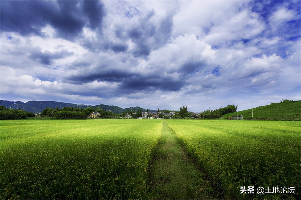 土地流转是什么意思（土地流转国家补偿标准）