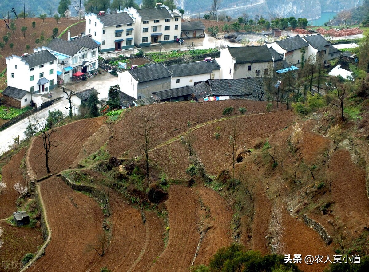 土地确权意味着什么（土地法关于农村宅基地的规定）