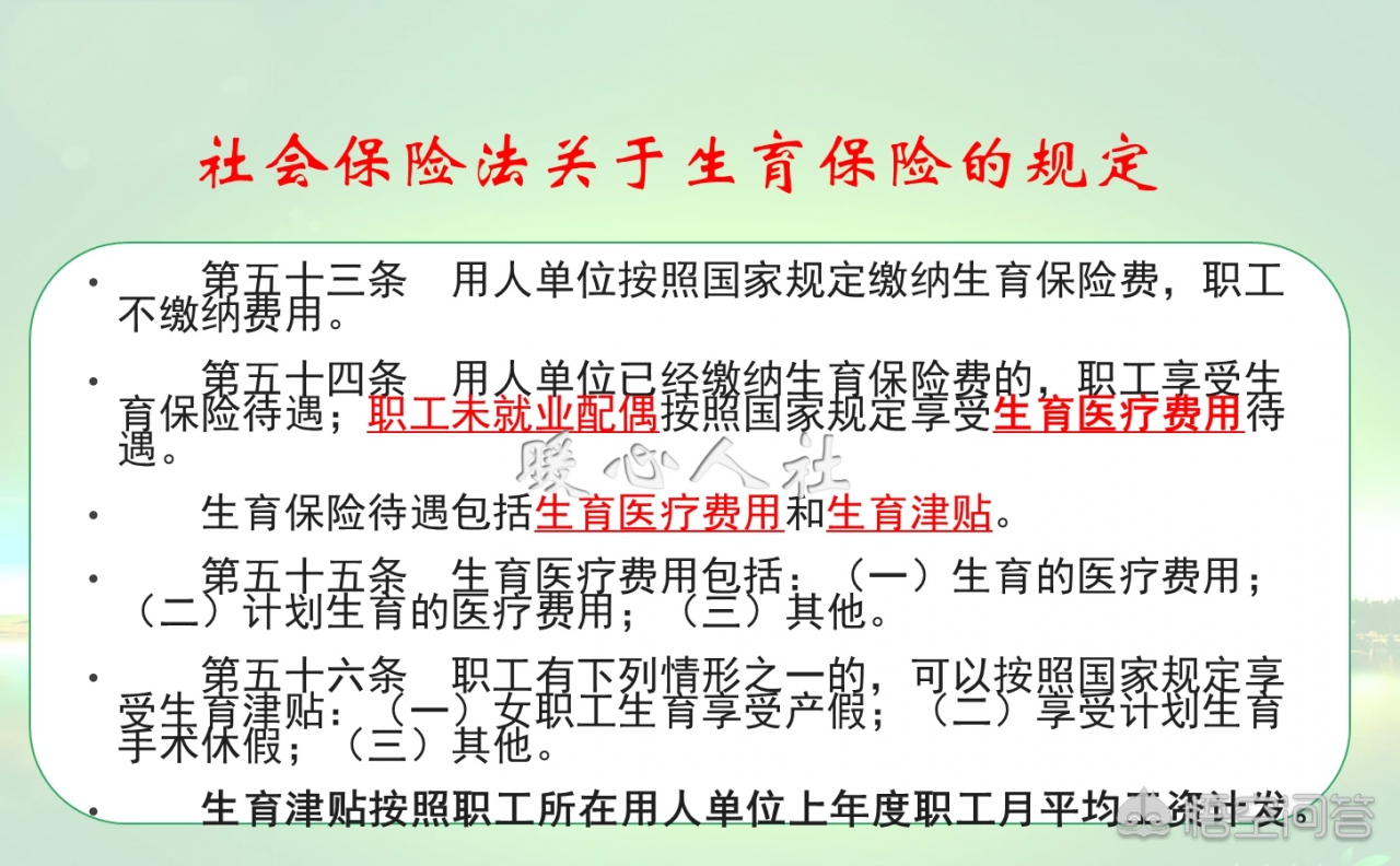 生育保险报销金额计算（生育保险实际缴费金额）