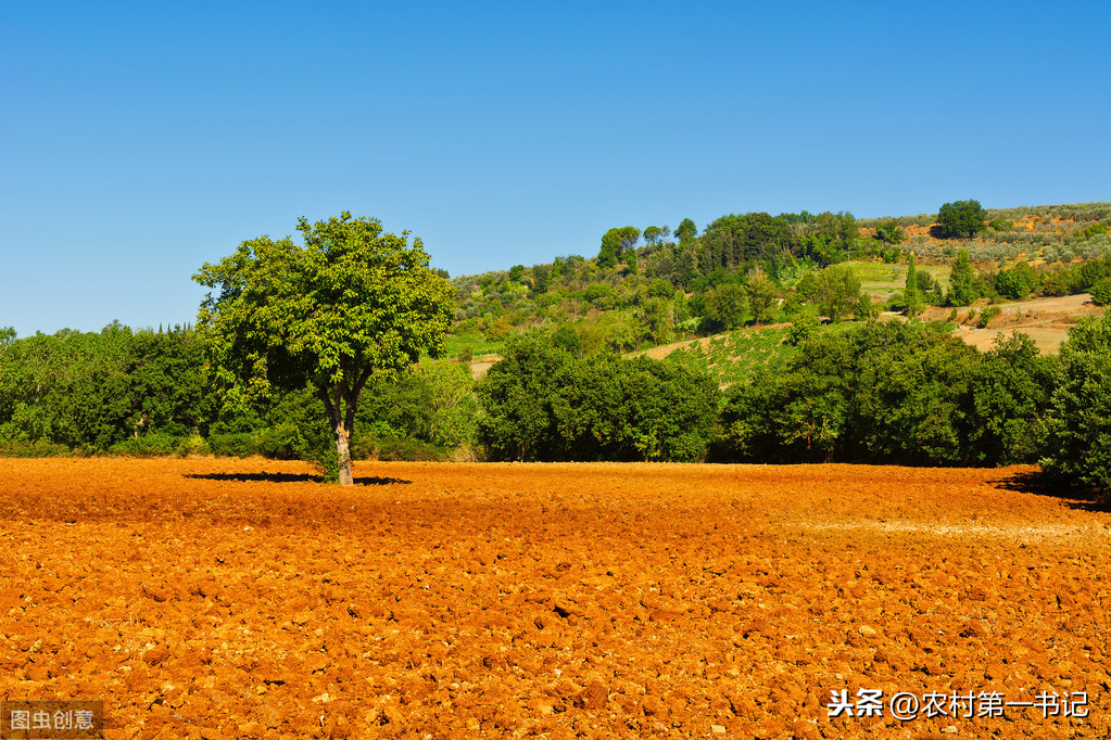 土地承包合同范本（正规土地承包合同范本）