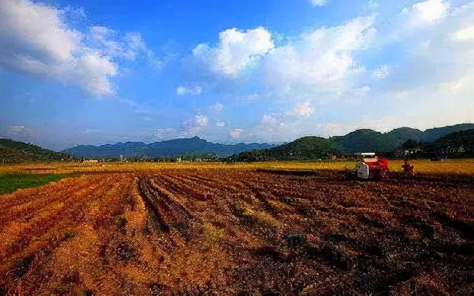 农村土地征用与补偿条例全文（宅基地拆迁补偿标准明细）