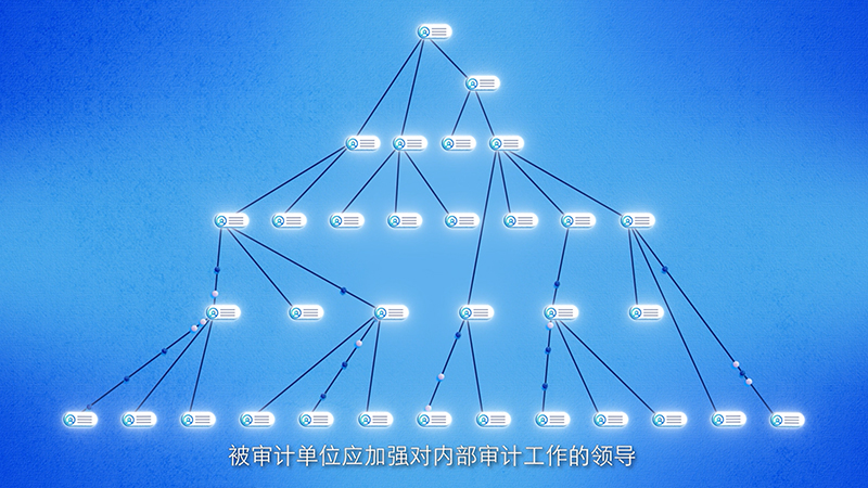 新审计法全文内容是什么（审计法实施细则全文）