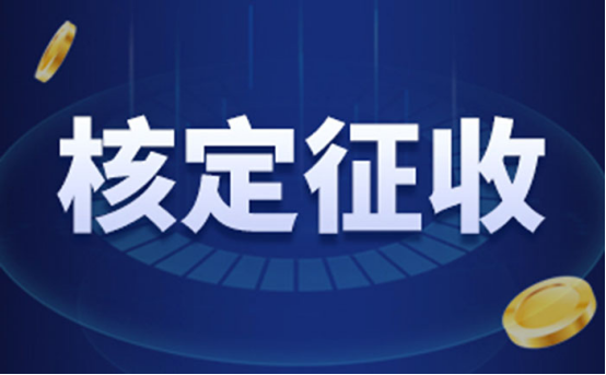 定期定额个体工商户个人所得税（核定征收的个体工商户）