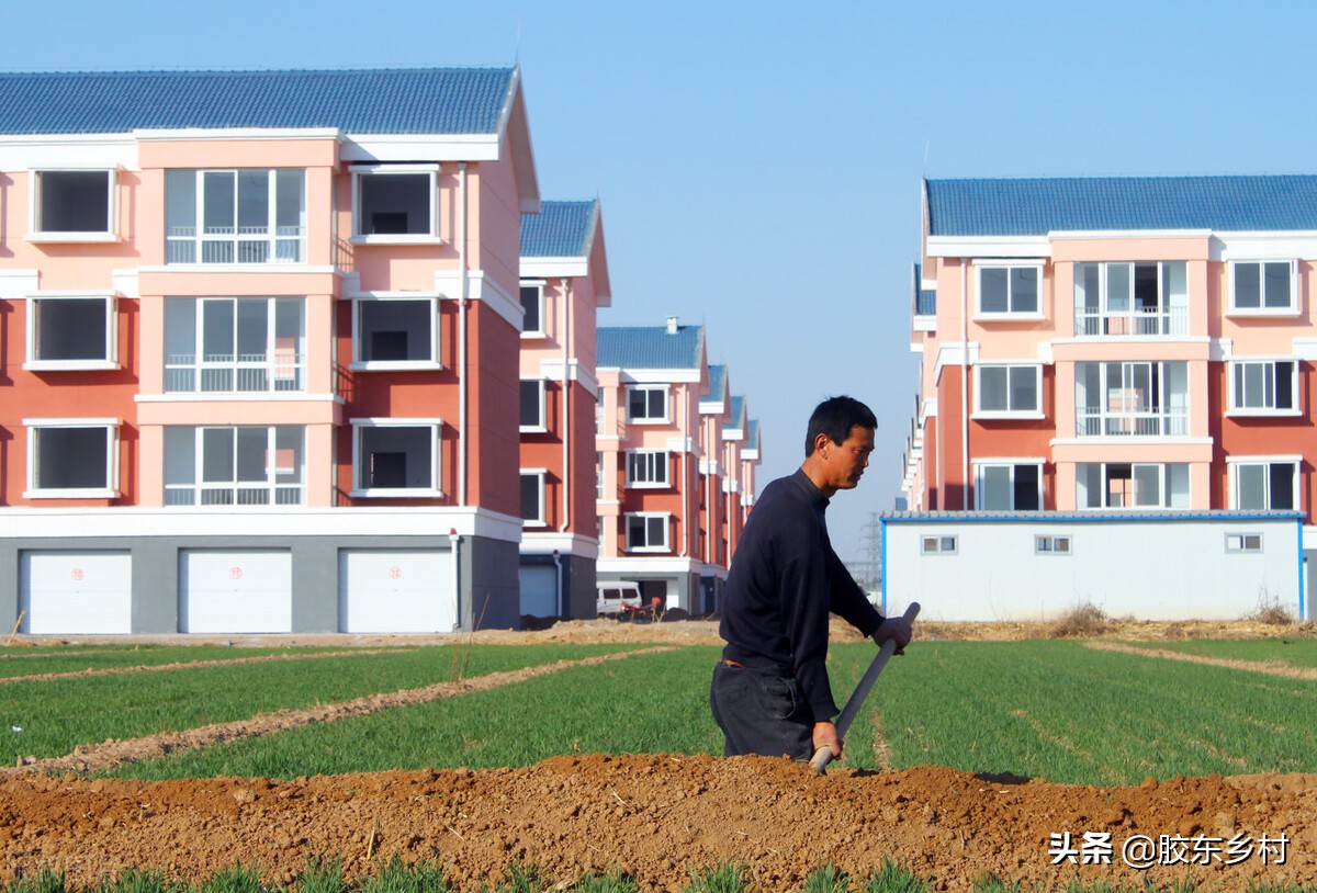 农村宅基地的最新政策是什么（农村宅基地继承最新政策）