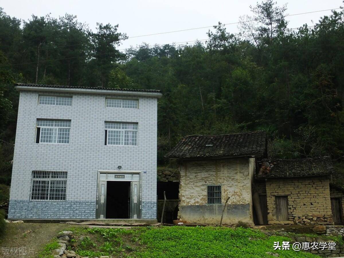 宅基地申请需要什么条件（农村审批宅基地的条件）