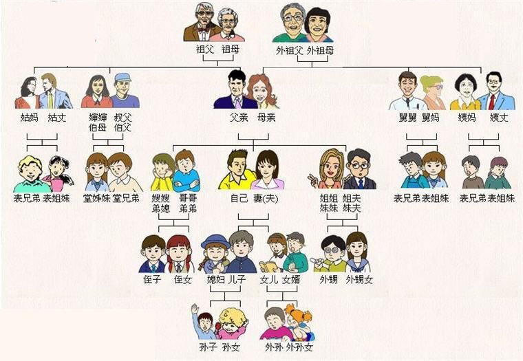 直系亲属范围包括哪些（法律直系亲属的范围）