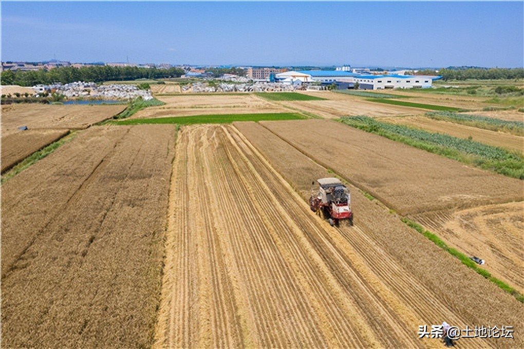 土地承包最长期限为多少年（个人承包土地期限规定）