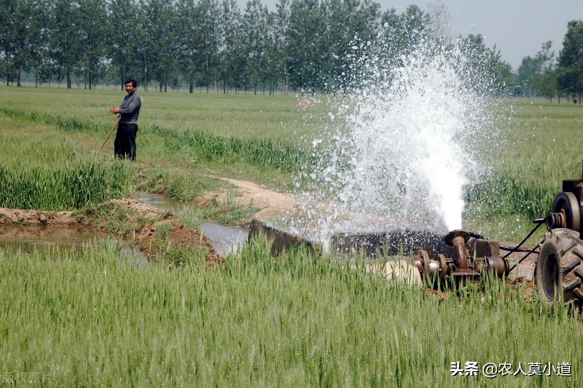 农业补贴项目有哪些（农村养殖业补贴政策）