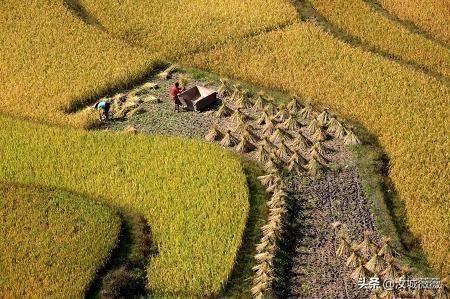 农村私人承包私人土地合同范本（土地承包协议书样本）