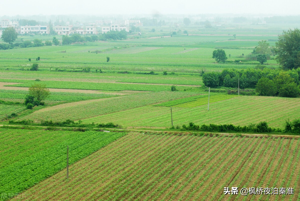 农村土地承包合同怎么写（农田承包合同范本）