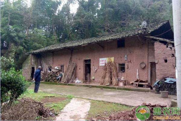 宅基地征用补偿新标准（农村宅基地拆迁条例）