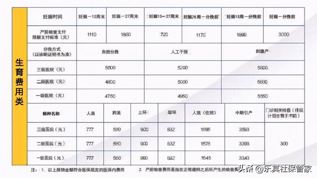 生育保险报销时间期限（2022年生育险新规定）