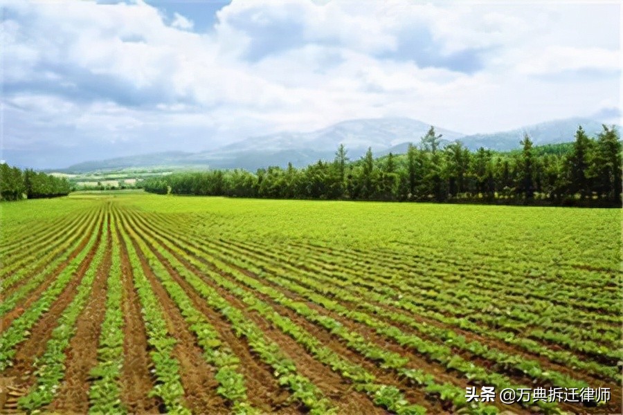 土地征收法律程序（征收农村土地的法定程序）