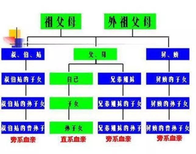 直系亲属三代包括哪些（民法典直系亲属关系一览表）