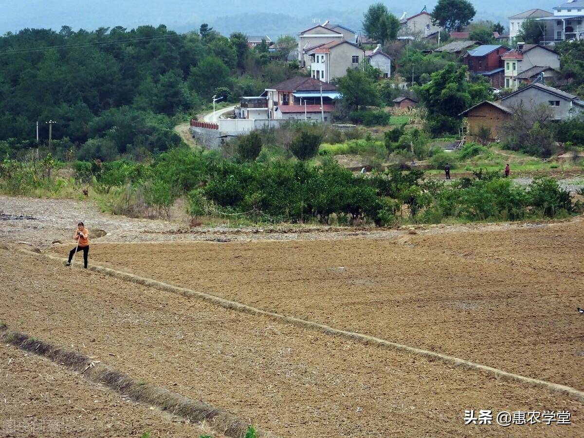 农村土地补偿新标准是多少（2022年农村房屋拆迁政策）